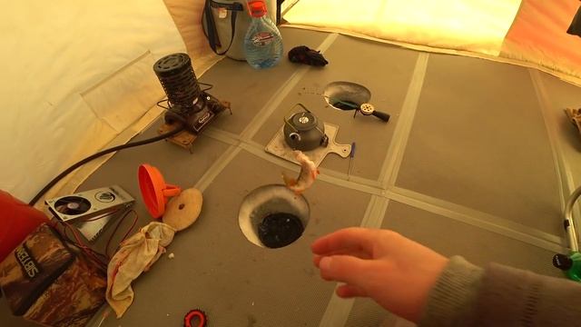 КИВОК ВСТАЛ! ПОПЛАВОК УТОНУЛ! рыбалка на поплавок и кивок смотреть онлайн