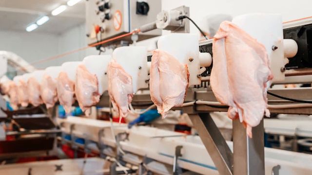 Why Eggs Prices Are So High смотреть онлайн