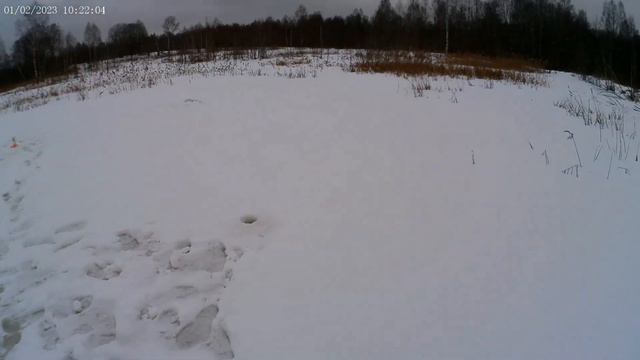 Эксперименты в глухозимье (2)! Рыбалка 1.02.2023г. смотреть онлайн