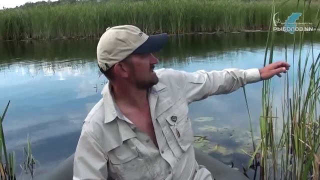 Реки Имза и Урга. Рыбалка в Нижегородской области. смотреть онлайн