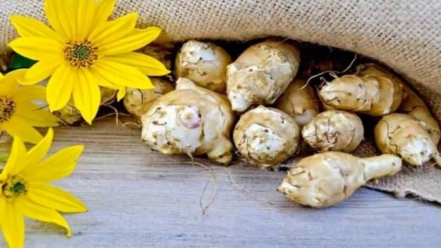 Салаты с Манго