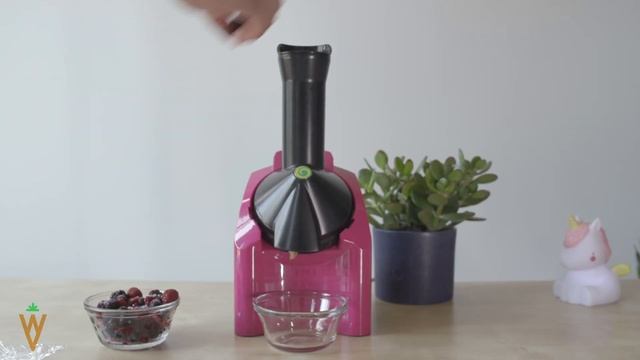 Frozen Fruit Ice Cream with the Yonanas Frozen Treat Maker смотреть онлайн