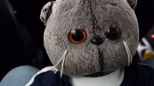 ЦЕЛЫЙ ДЕНЬ С БАСИКАМИ