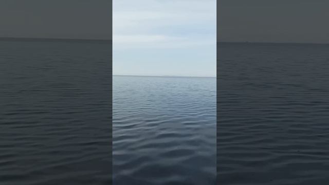 ? База отдыха Кобона, Ладожское озеро, аренда лодок, рыбалка на плотву? смотреть онлайн