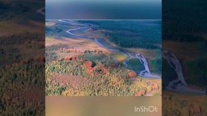 Западно- Сибирская Равнина