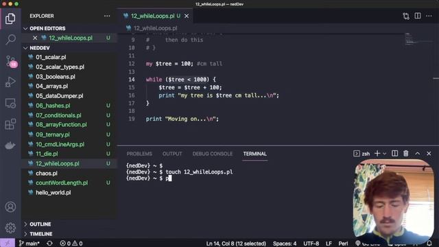 perl5 #14: While Loops // WHILE, UNTIL смотреть онлайн