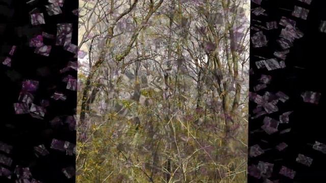 Zapomniany Ogród - Forgotten garden - Artur Igla смотреть онлайн