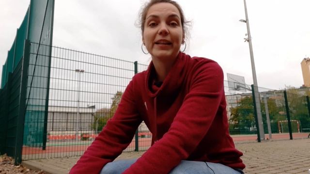 Переезд в Польшу с животными: чипирование, прививки, документы, правила. смотреть онлайн