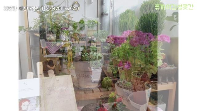 12년동안 식물로 꾸민 2평 베란다 Veranda Plants Garden смотреть онлайн