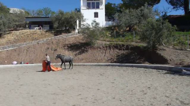 Starting the plane game смотреть онлайн