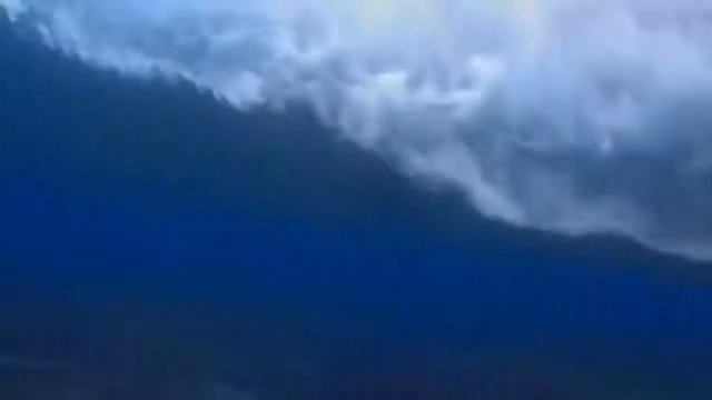 Касатка Супер хищники смотреть онлайн