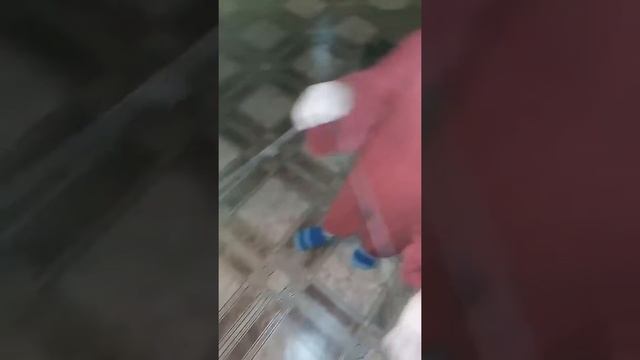 Маленькие пауки))) смотреть онлайн