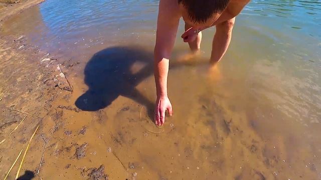 Здоровый Образ Жизни в Движении