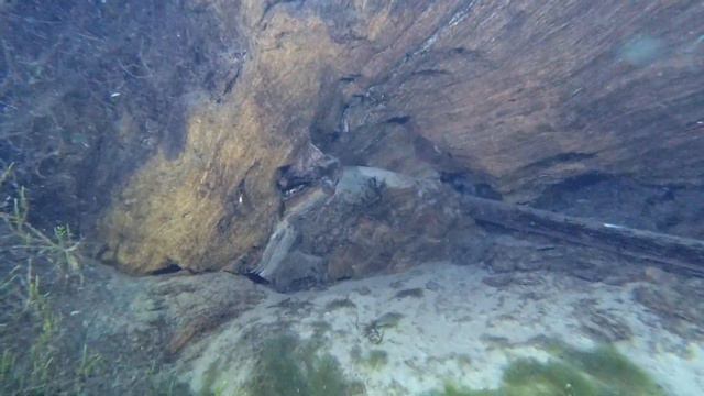 18.08.2019 Голубое озеро г. Казань смотреть онлайн