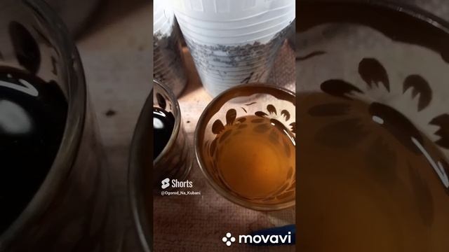 СЛАДКИЙ ПЕРЕЦ БУТУЗ. РЕЗУЛЬТАТЫ ОБРАБОТКИ СЕМЯН. ОГОРОД НА КУБАНИ. shorts# смотреть онлайн