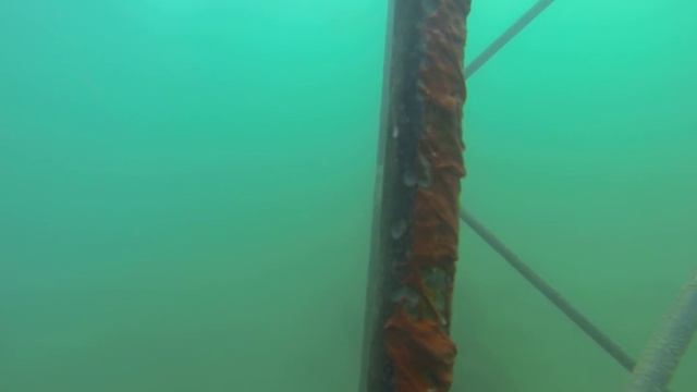 GOPR0001 смотреть онлайн