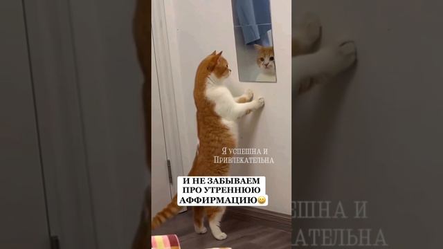 МОЕ УТРО 🌻😁