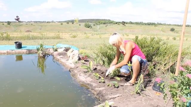 Закрытая Корневая Система (ЗКС) смотреть онлайн