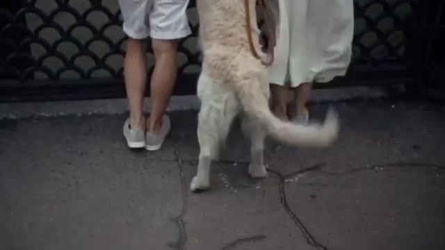 В надежных ласковых мужских руках. Eva Mayer смотреть онлайн