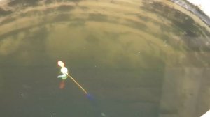 Классный поплавок с шариком.Тест в бочке и на пруду.Рыбалка на карася.