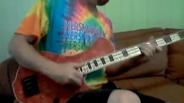 Steve McDonald Basses 33" Single cut смотреть онлайн