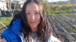 Укладка черного агроспана под малину и ежевику. Нюансы