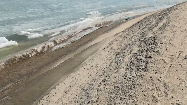 Бердск. Бердская коса, Бердский залив, Обское море. 23 апреля 2022 год. смотреть онлайн