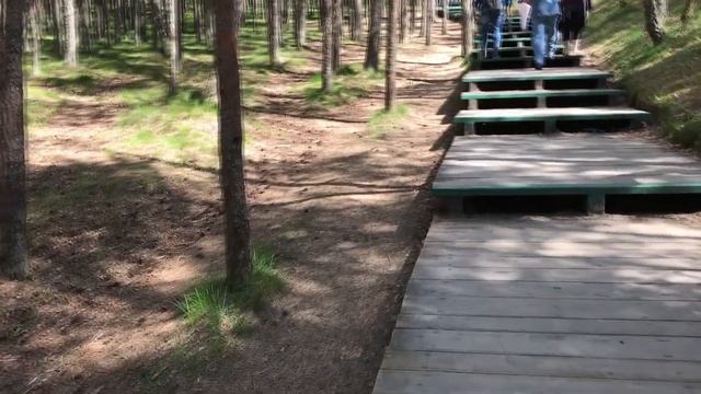 VLOG: Поездка в КАЛИНИНГРАД. Куршская коса. ЧАСТЬ 1 смотреть онлайн