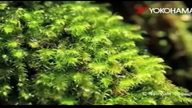 Yokohama BluEarth Шины и диски Avtopik смотреть онлайн