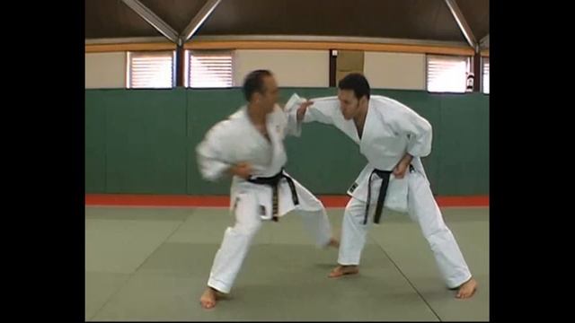 Уроки рукопашного боя. Изучаем приемы самозащиты при исполнении ката Нидзюшихо в каратэ смотреть онлайн