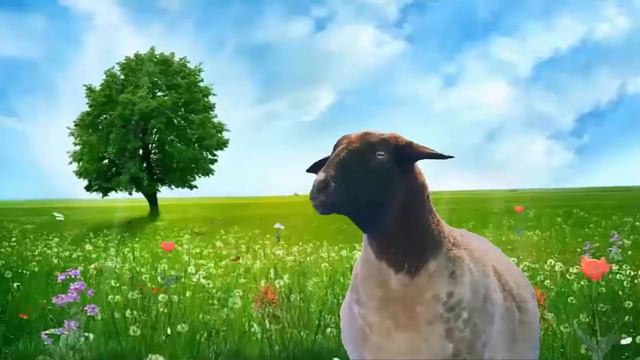 Английский для малышей. Учим животных. Часть 1 смотреть онлайн