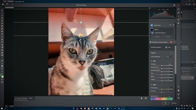 Новая Camera Raw 14 0 в Адобе Фотошоп 2022г смотреть онлайн