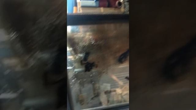 СажиНет! Чистит на "пять" баллов! смотреть онлайн