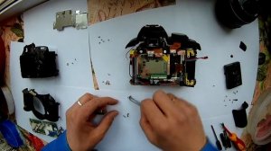 nikon d3100 - запала шторка затвора. разборка-сборка