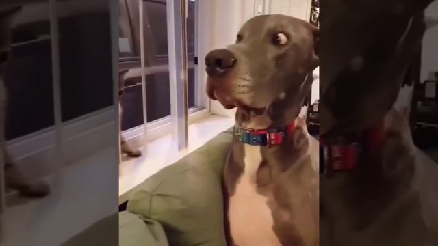 Вас заметили! смотреть онлайн