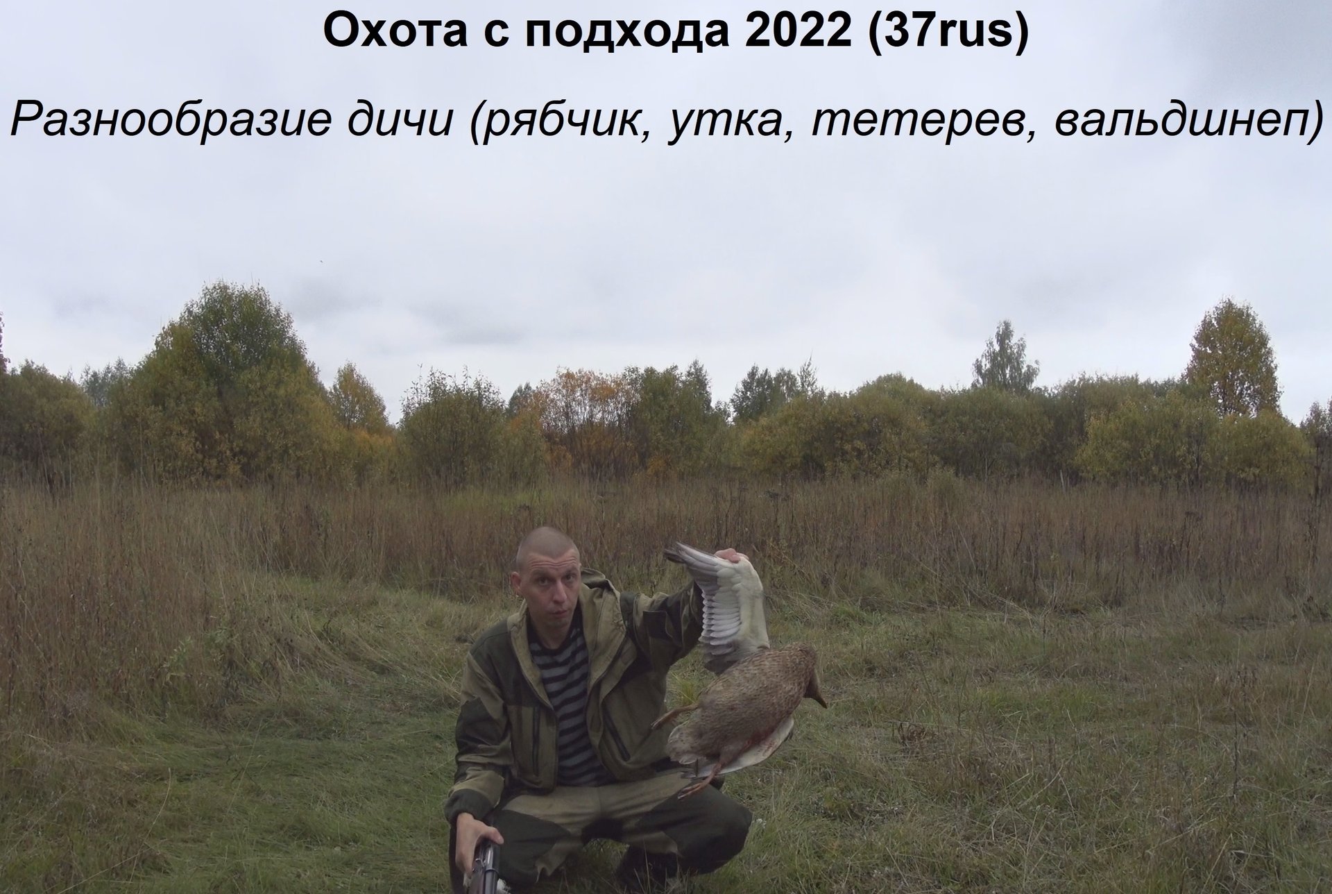 Охота 2022. Охота осенью с подхода. Разнообразие дичи!!!! смотреть онлайн