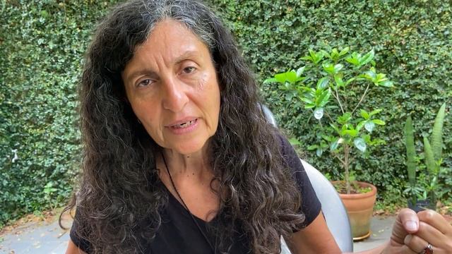 Navaratri 7 Noite De Kalaratri