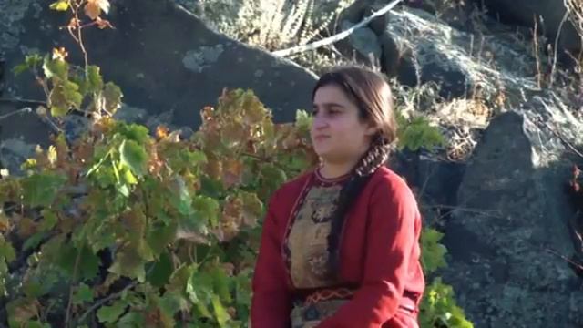 ANDRANIK SARKAVAK MANUKYAN_SHENIKCU THOR