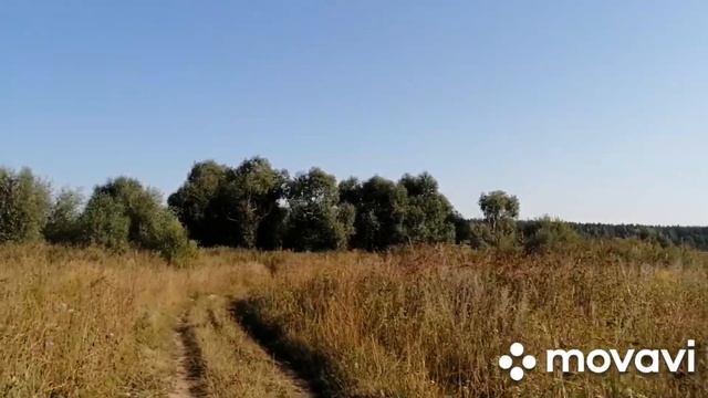 Сено, Гости, Горы Меда и Подарков, Болталка, Крутые Перцы... // С.Х.У Жизнь В Селе смотреть онлайн