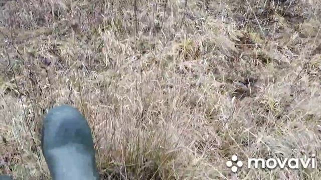 Термобелье Shilco. Обзор и тест. смотреть онлайн