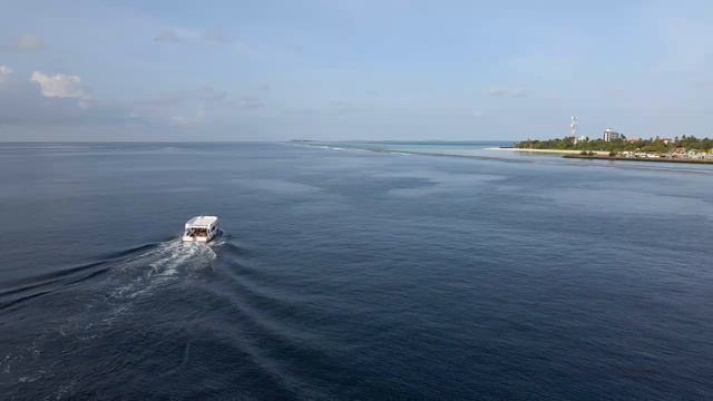 South Ari Dive Trailer | Diving Maldives 2023 | Sony FX3 Underwater смотреть онлайн
