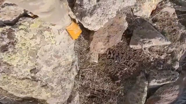 Define kaya kasası açtım /zencir define işareti/ hazine bulma anı!! смотреть онлайн