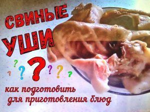 КАК ПОДГОТОВИТЬ СВИНЫЕ УШИ? для приготовления блюд из них