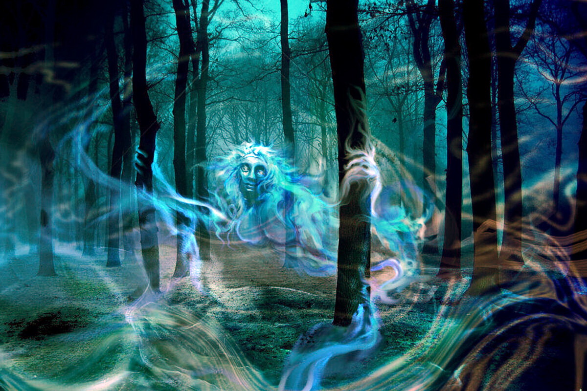 В царстве лесных духов