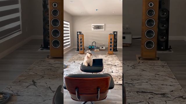 Sonus Faber Venere S