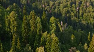 Междуреченск. Город Тайги (русская версия)