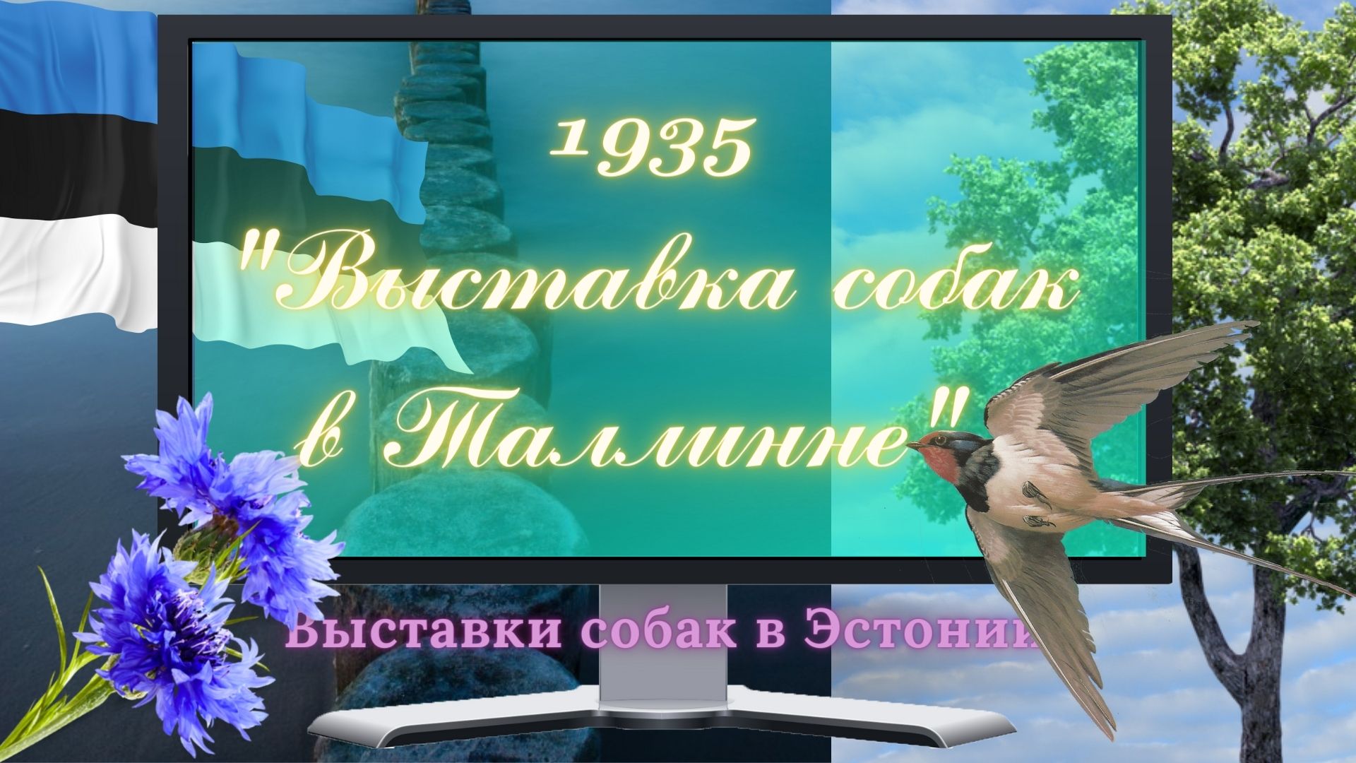 1935     "Выставка собак  в Таллинне"
