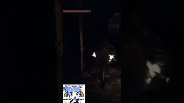 BUNNY HOP! ll Dark souls 2 ascended mod смотреть онлайн