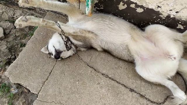 Сладкий сон смотреть онлайн