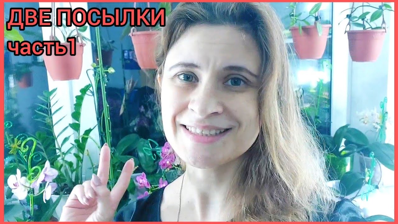 Часть 1?Пришли две посылки одновременно??Комнатные #растения ?Редкость+новинка+хотелка? #цветы смотреть онлайн